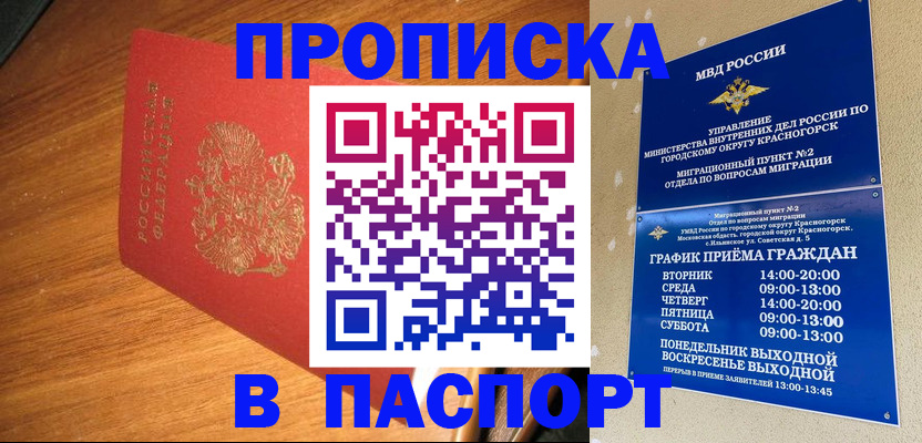 прописка 2025 в Балашихе